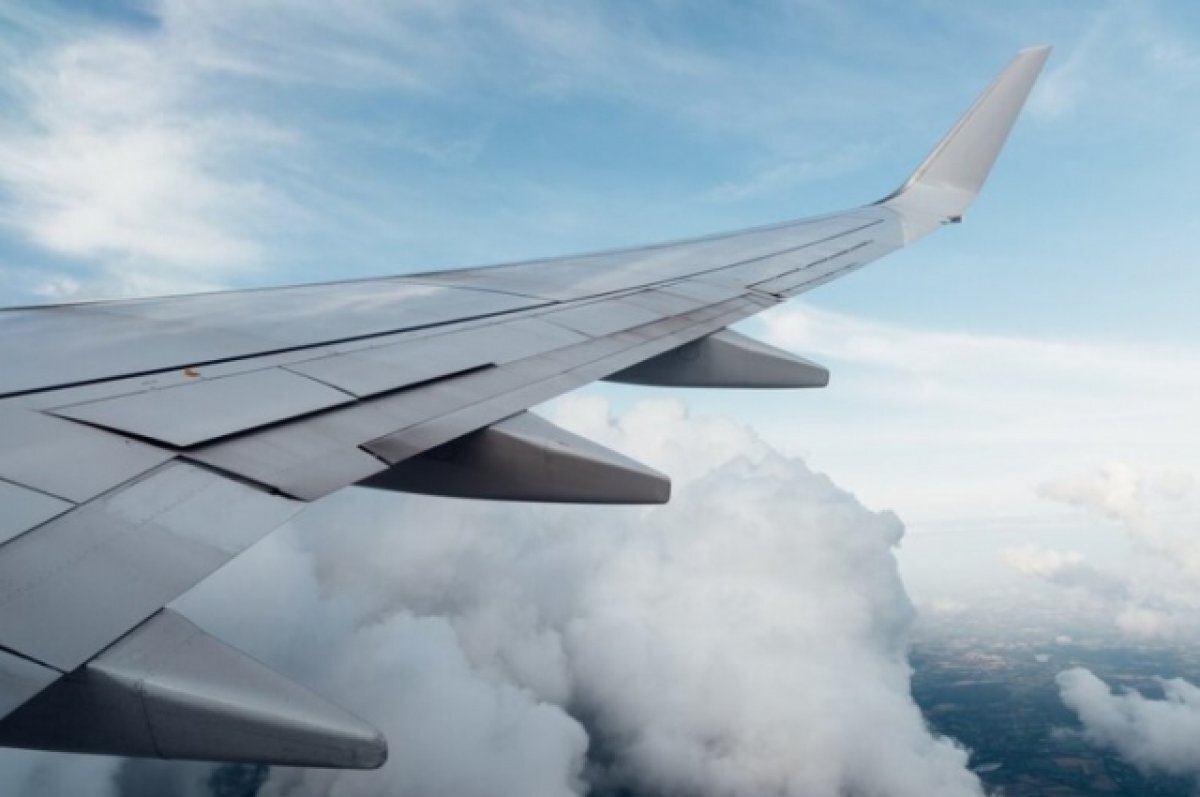    В летевшем из Сочи самолете сгорел блок питания из-за пролитого пилотом чая