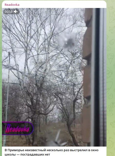    Фото: Скриншот Telegram/Readovka