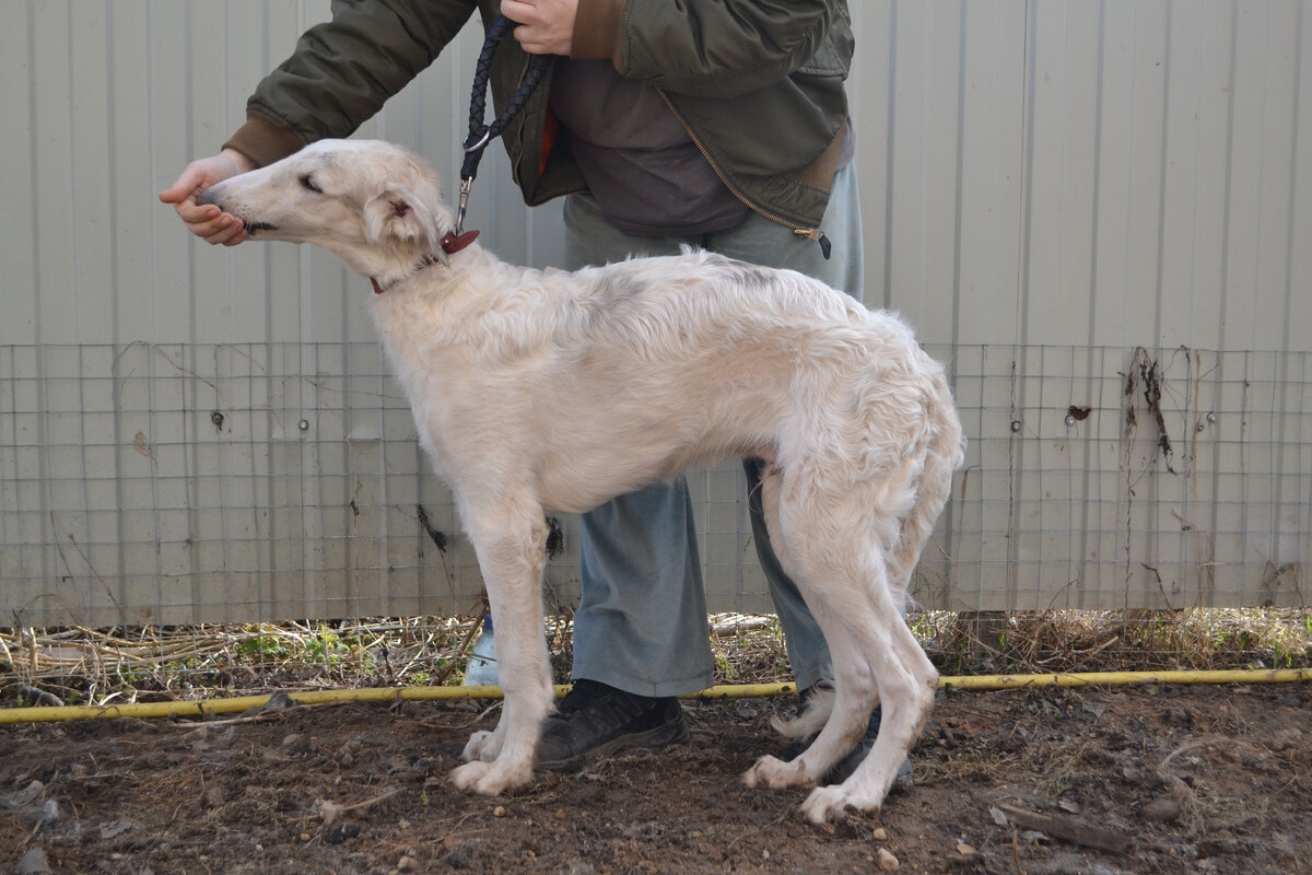 Орляк. Личное фото