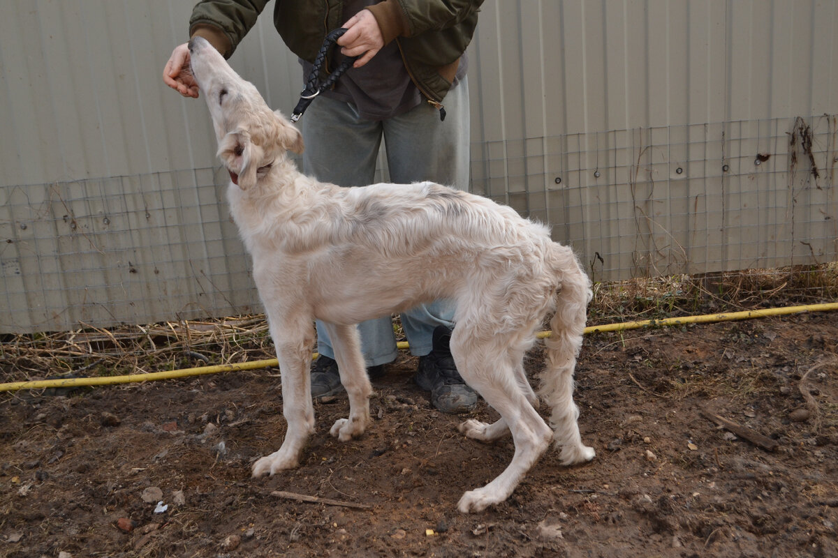 Есть че?? Личное фото