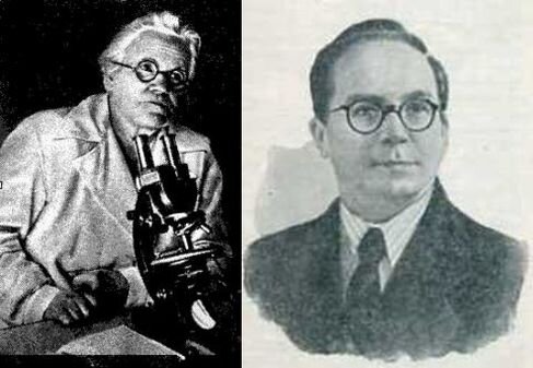 Александр Николаевич Студитский (1908-1991 гг.)