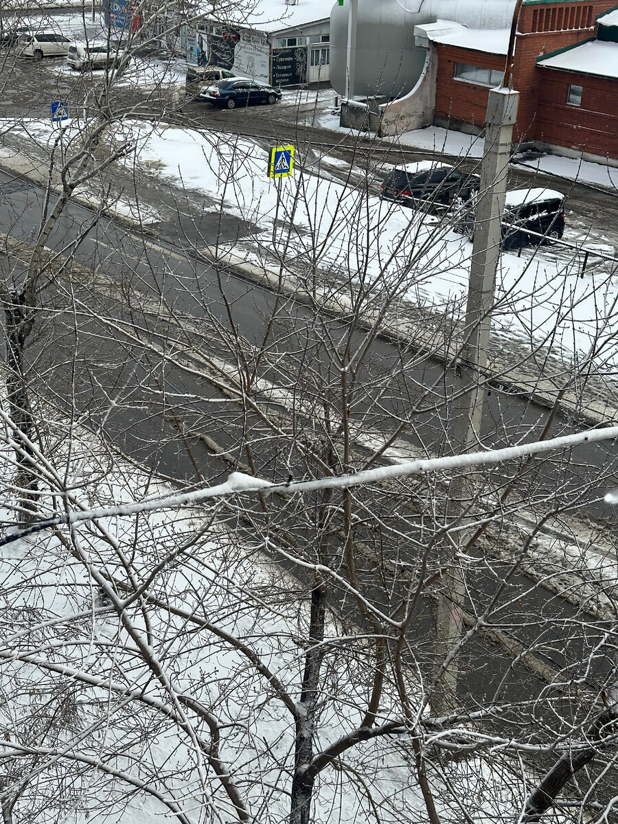 Пейзажи удручают, но скоро все зазеленеет. Хочется верить