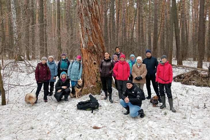 © Любители походов с погибшей 300-летней сосной. Фото Ивана Твердохлебова.📷
