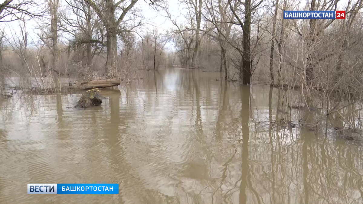    В МЧС рассказали о ситуации с паводком в Башкирии на утро 16 апреля