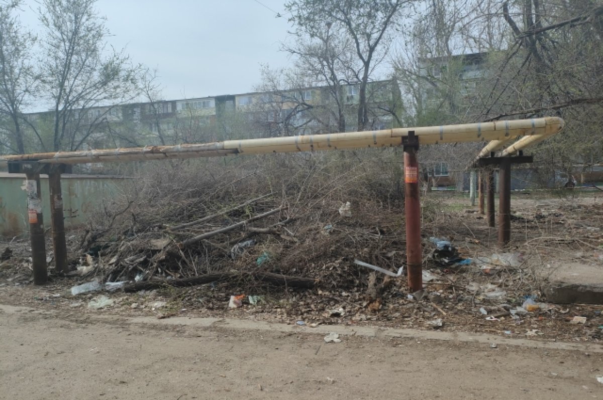    «ЭкоЦентр» помог астраханцам ликвидировать навал веток 10-летней давности