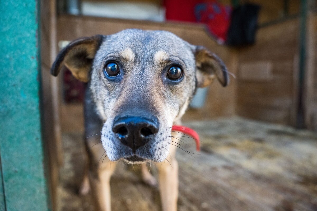    Фото: Александр Плонский / "ВиЖ"