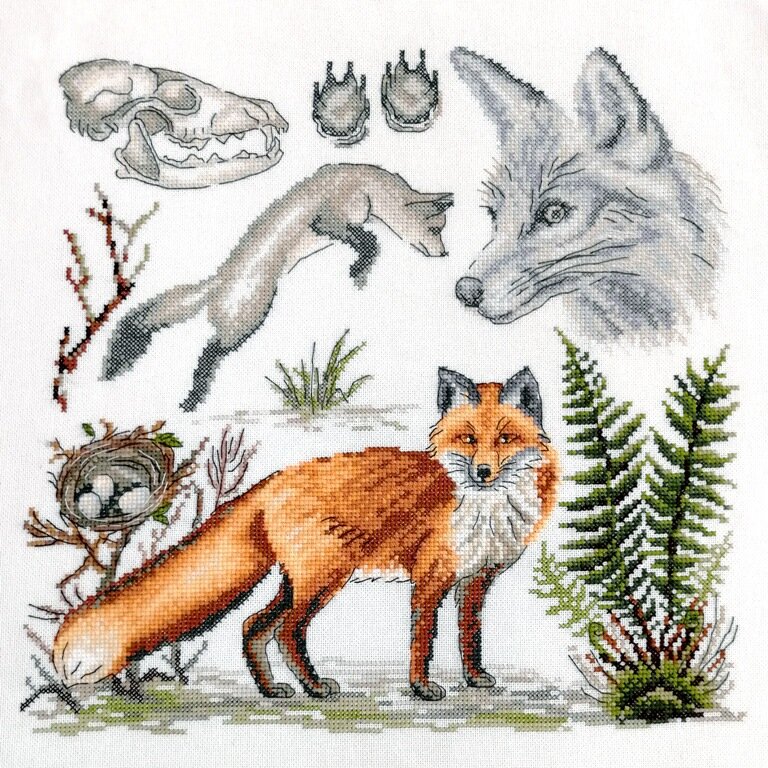 Зоология. Лисица обыкновенная 03.014.17