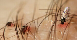    фото: wikimedia.org/Dunpharlain/CC BY-SA 4.0 Мария Михайловская