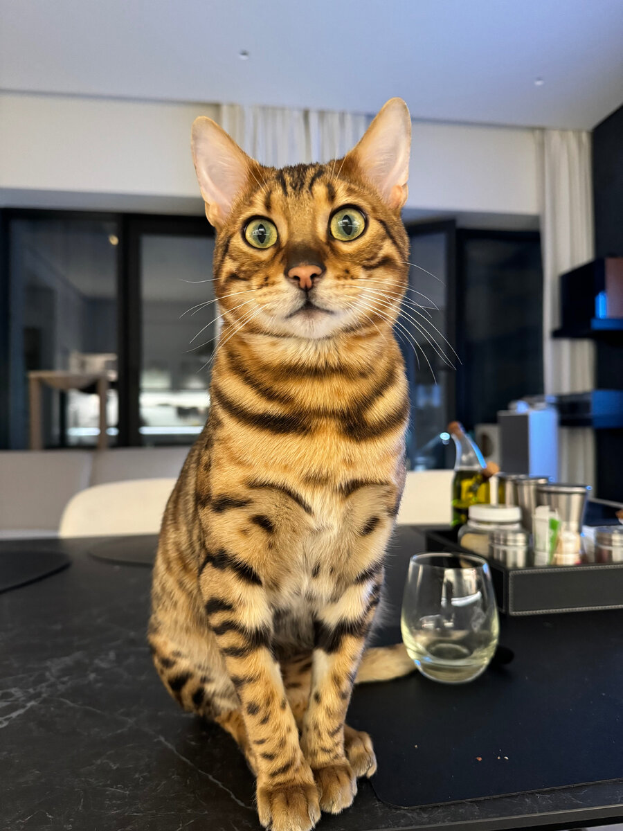 Ну красавец же!