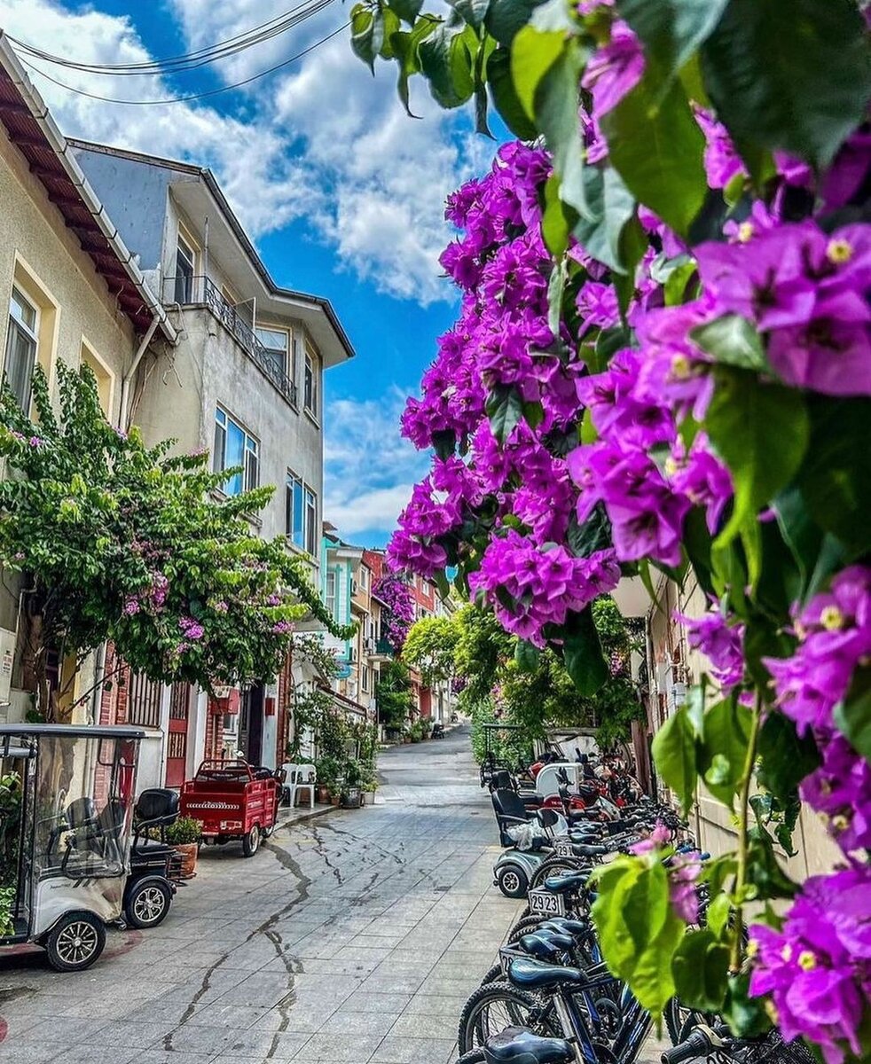 Один день на Принцевых островах | Enjoy Travel | Дзен