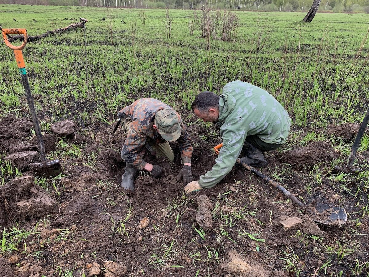 Началась работа по расширению ямы и извлечению останков.