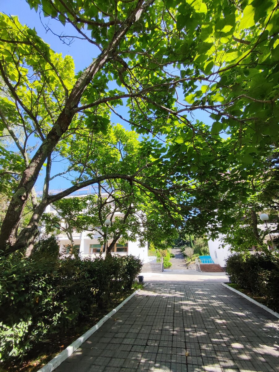 Территория