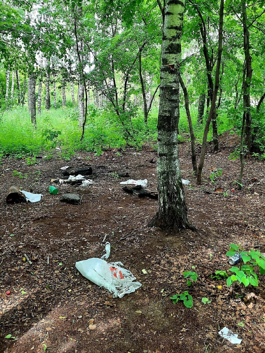 Фото: ВК-группа «Некрасовка Старая и Новая | М125»