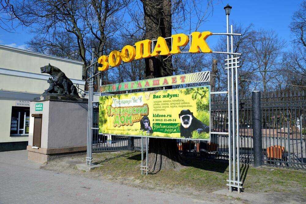 Калининградский зоопарк информатика
