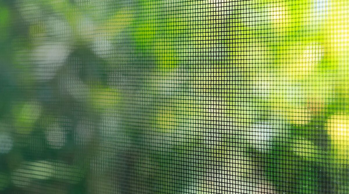 Источник: shutterstock.com