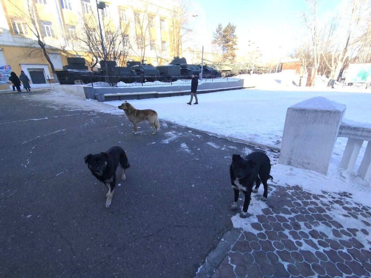    Фото: Пресс-служба Дома офицеров Забайкалья