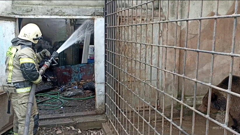    В Крыму сотрудники МЧС России спасли медведей.@mchs_official