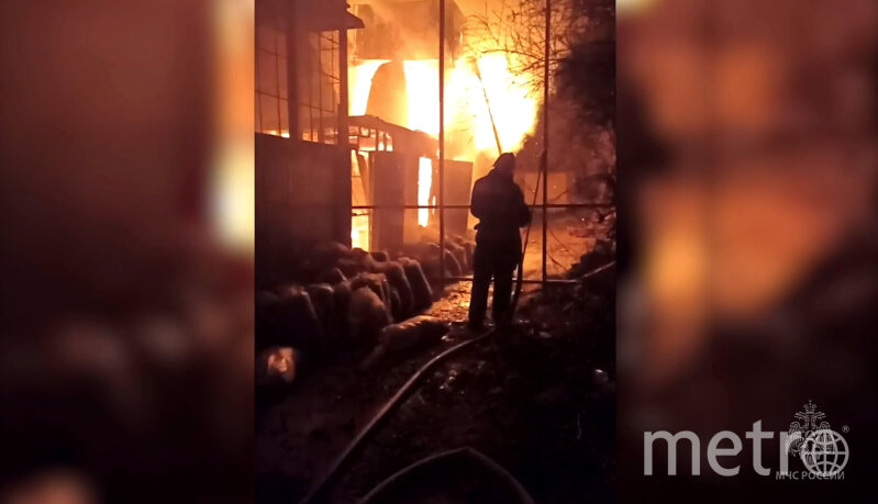    В Крыму сотрудники МЧС России спасли медведей.@mchs_official