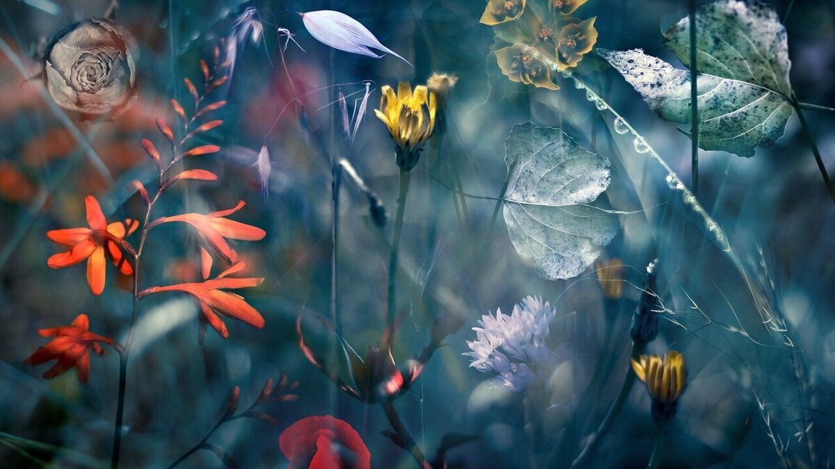 Люди не меняются