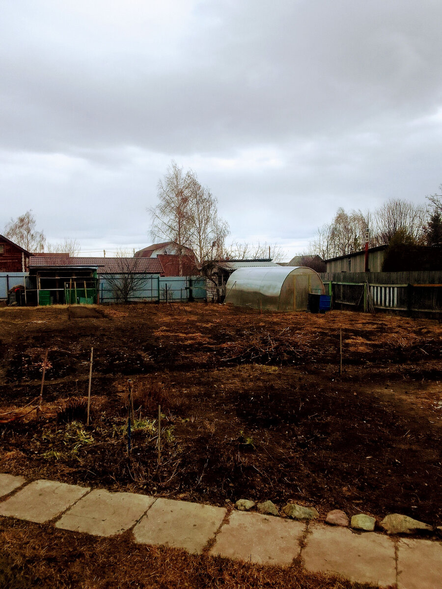 В этой теплице помидоры 🍅 растут и перцы
