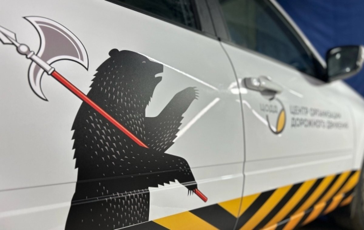    В Ярославле в патрули выйдут автомобили с медведями