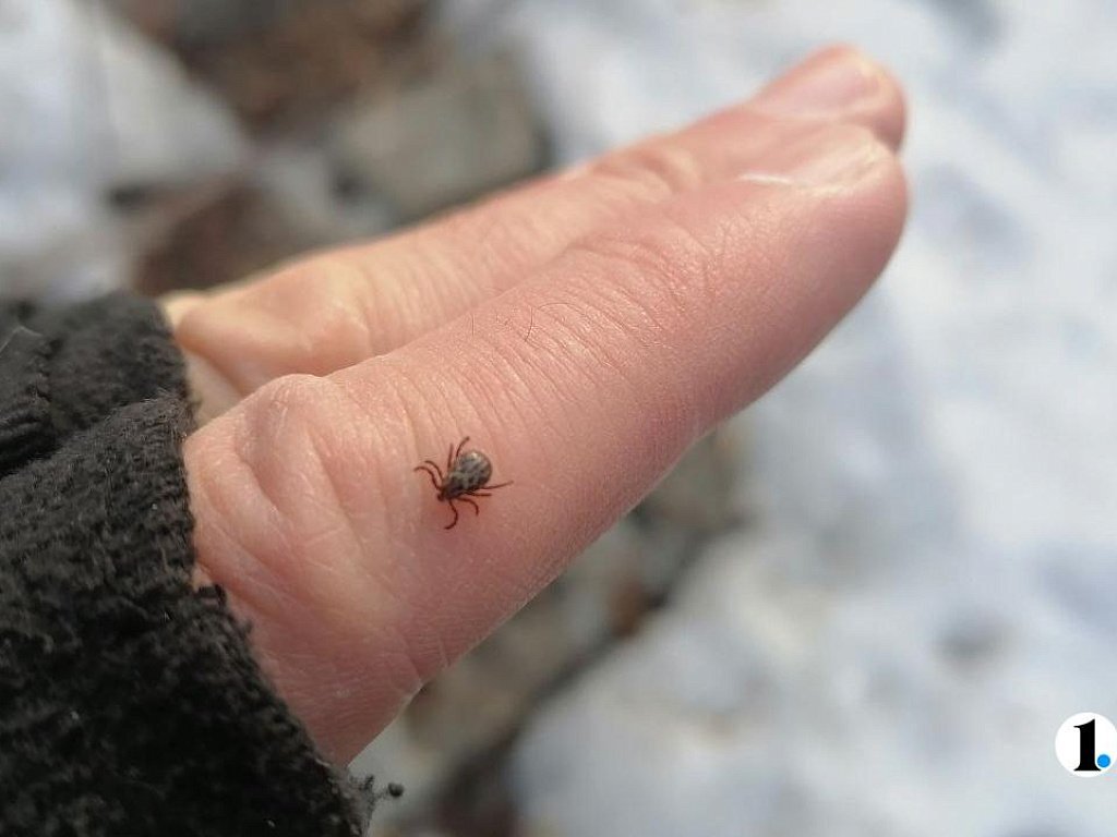 Фото: www.1obl.ru