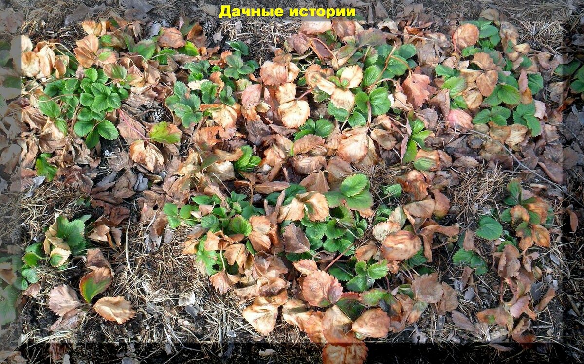 https://vk.com/photo-159774511_457265145