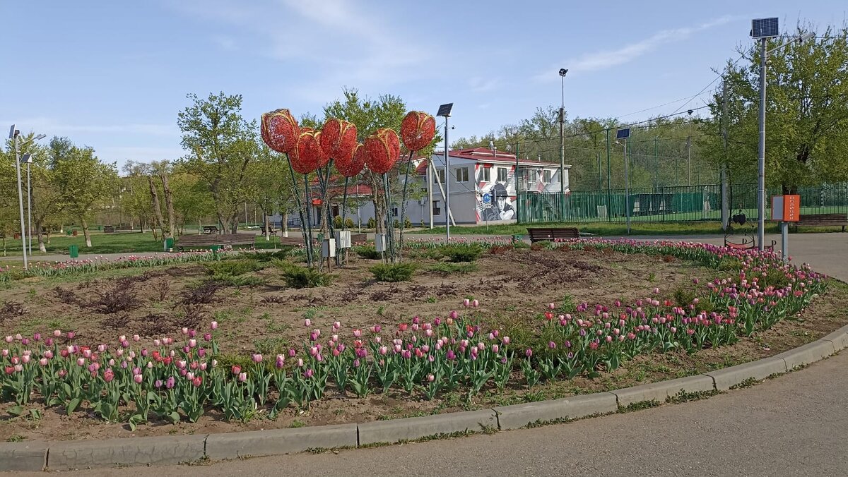 В старом парке нашем. 