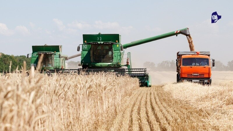      Фото: ИА «Победа26»