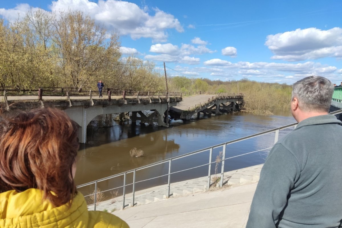    Прости нас, мост!