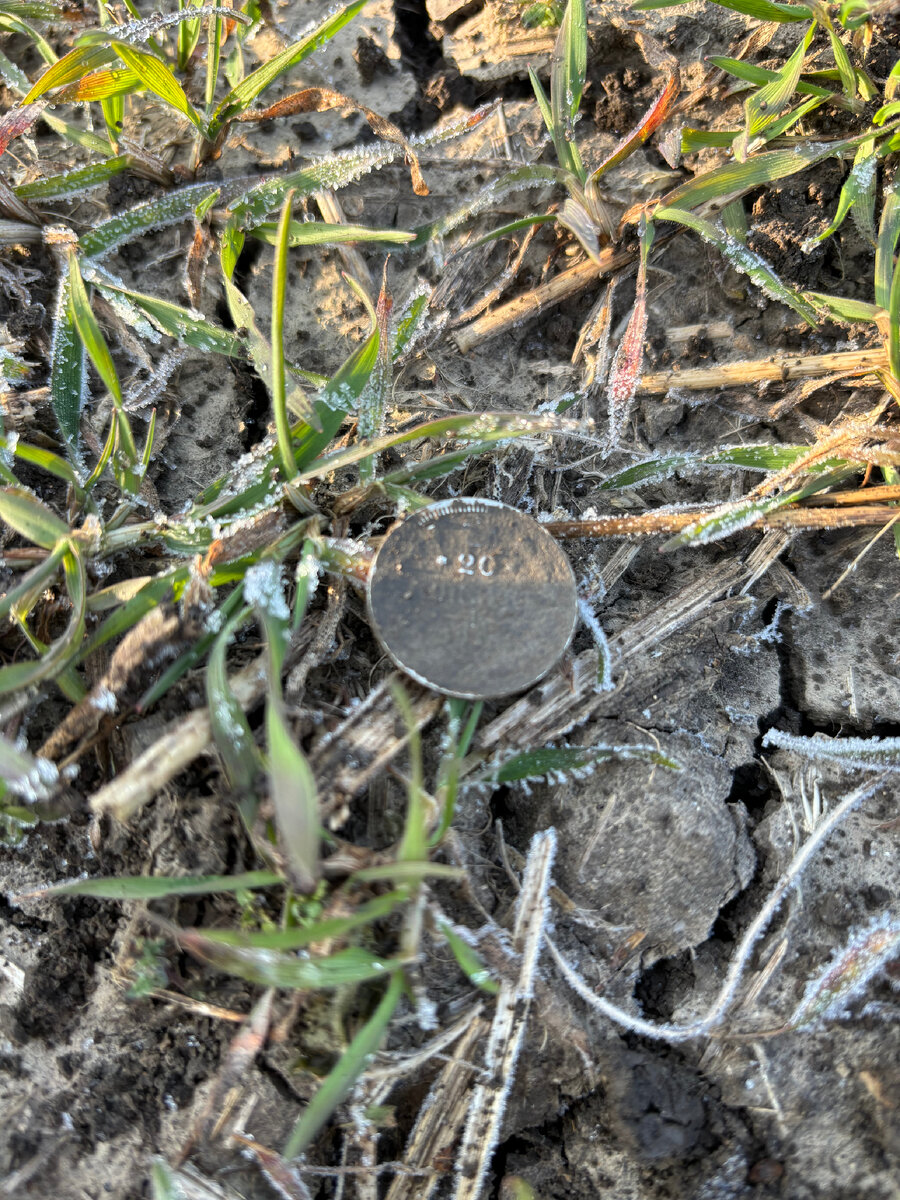 Телефон решил фокусироваться на чем угодно кроме монеты. 