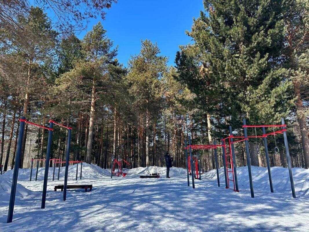    В голосовании за объекты благоустройства в Сургуте лидирует экопарк «За Саймой»