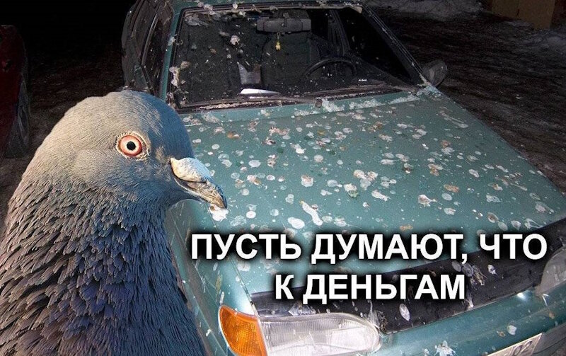 Фото: www.armand-auto.ru