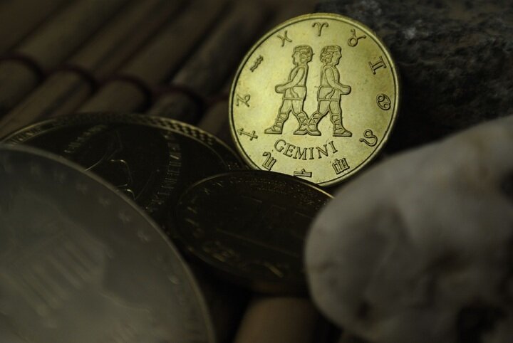 Близнецы. Фото: pxhere 