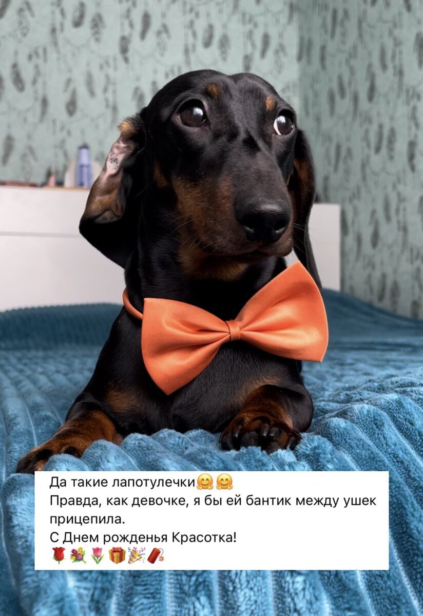 Симба уже привык к таким комментариям