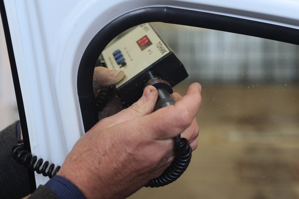 Листайте вправо, чтобы увидеть больше изображений