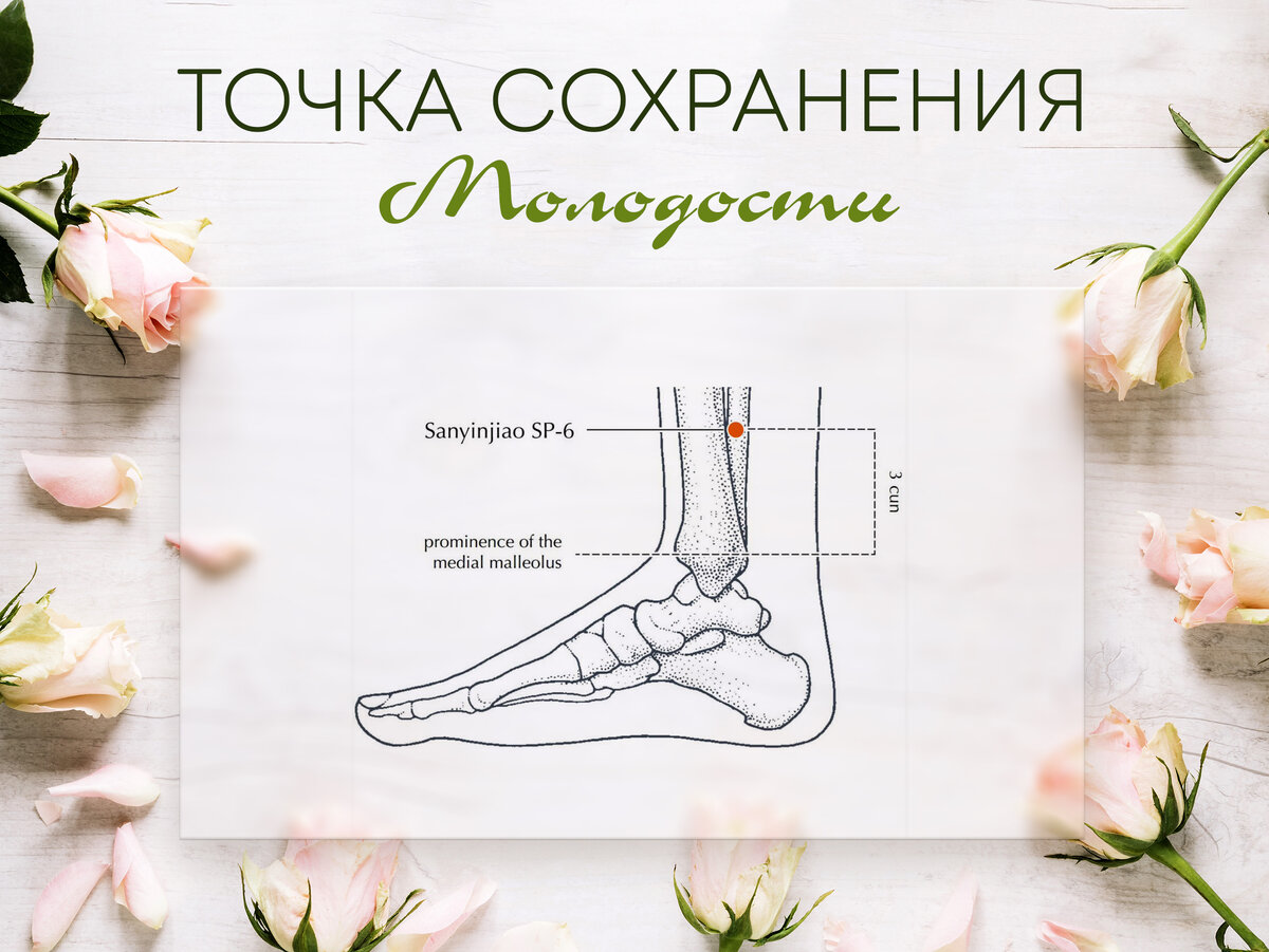 Расположение точки Дзу Сан Ли