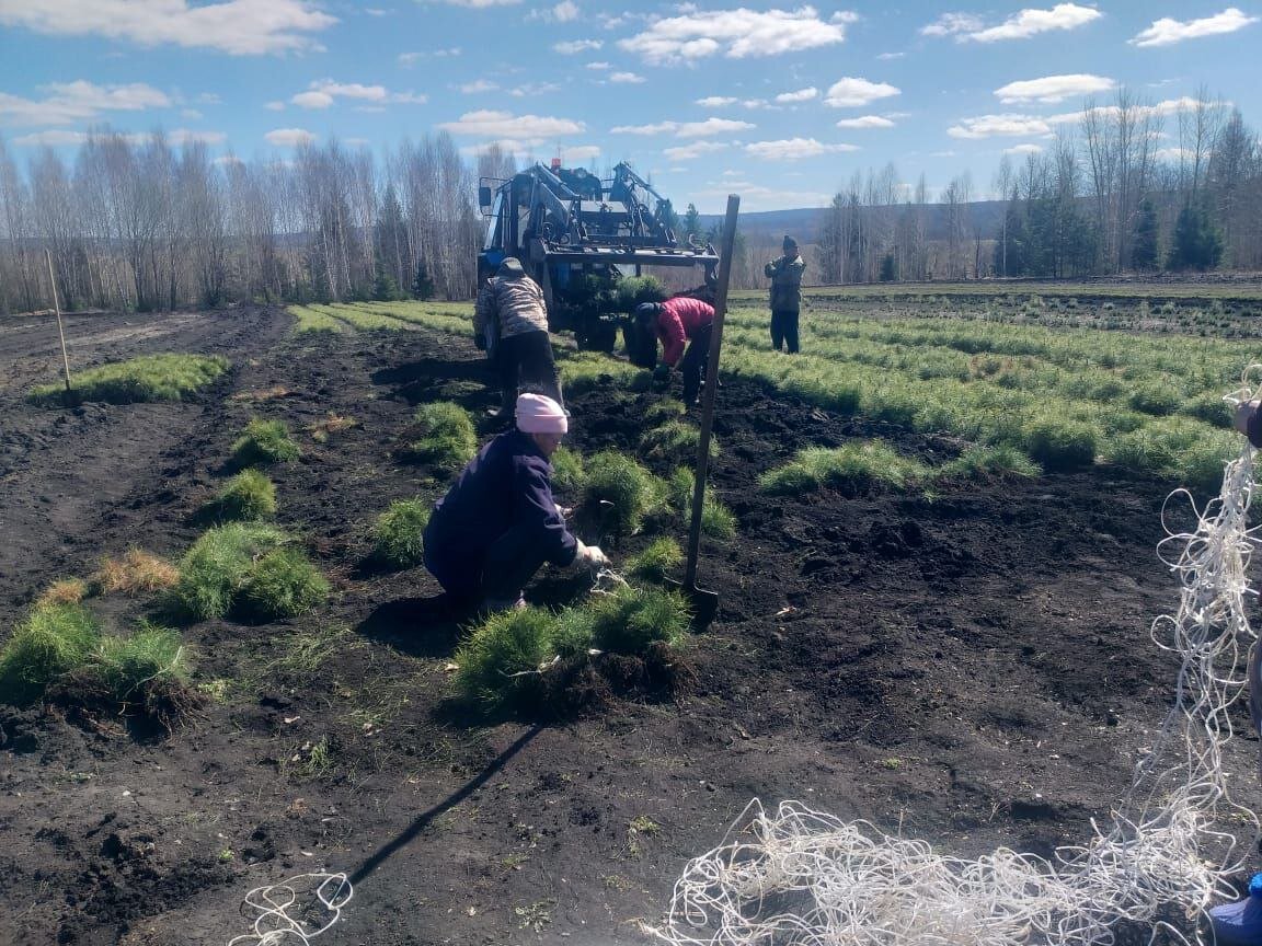 Фото: t.me/radiyhabirov