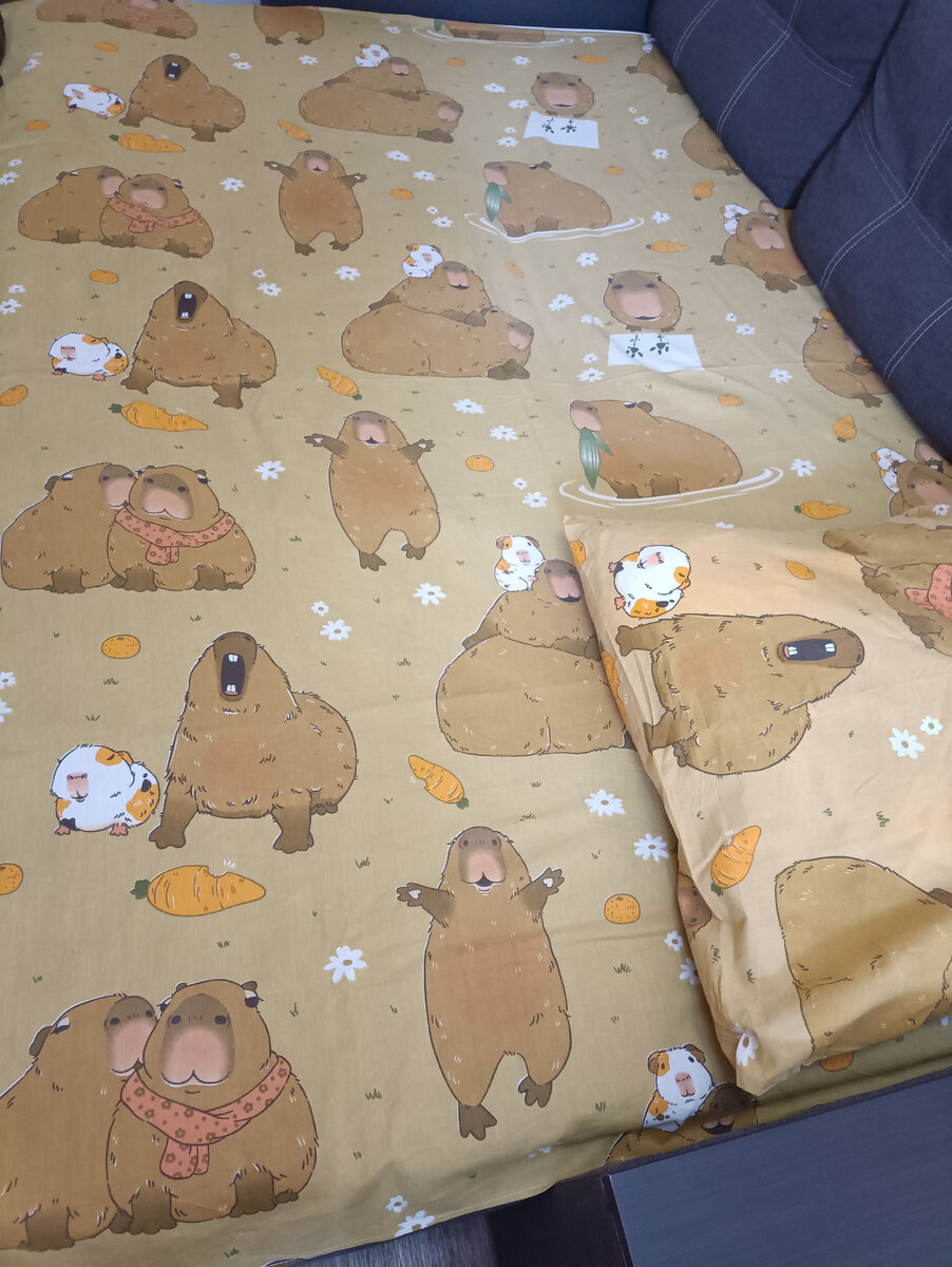 Комплект с капибарами