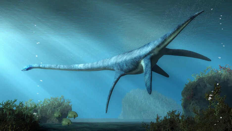 Арктический «монстр» из Марамбио. Ученые нашли его останки