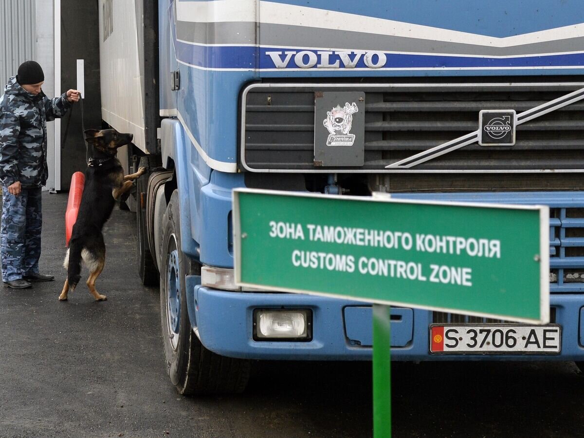    Сотрудник таможенной службы РФ с собакой осуществляет досмотр автомобиля на контрольно-пропускном пункте "Бугристое" российско-казахстанской границы© РИА Новости / Александр Кондратюк