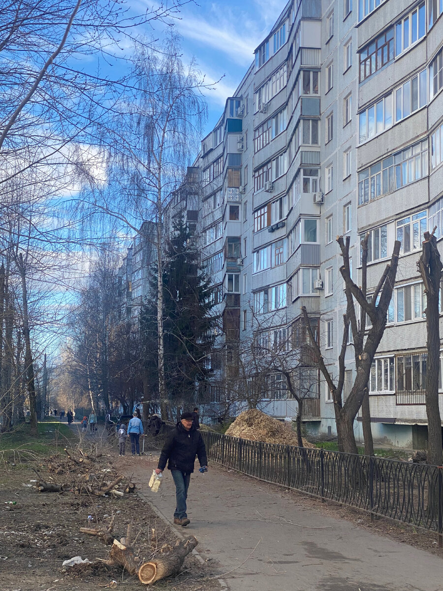 Деревья подрубают 