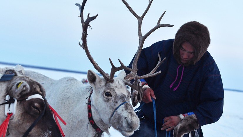   РИА Новости Павел Лисицын