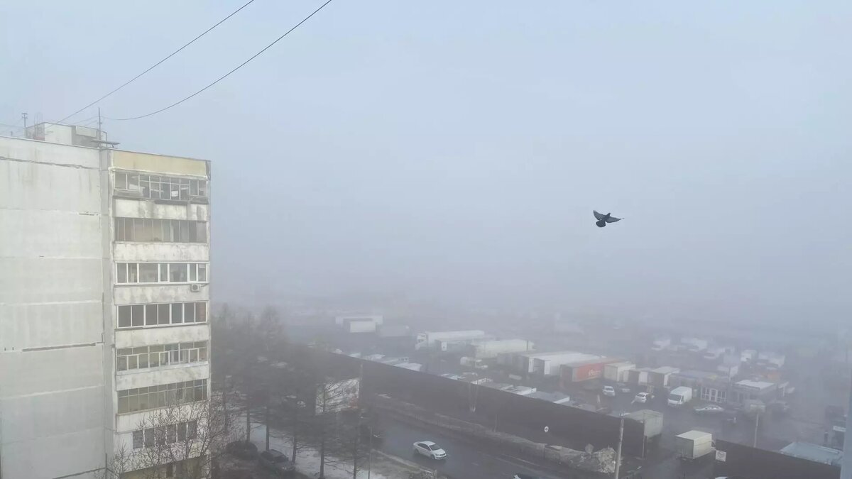     В Татарстане среда, 17 апреля, запомнится жителям республики туманом. Он будет в отдельных районах в ночное и утреннее время. Синоптики гидрометцентра дали прогноз на предстоящие сутки.
