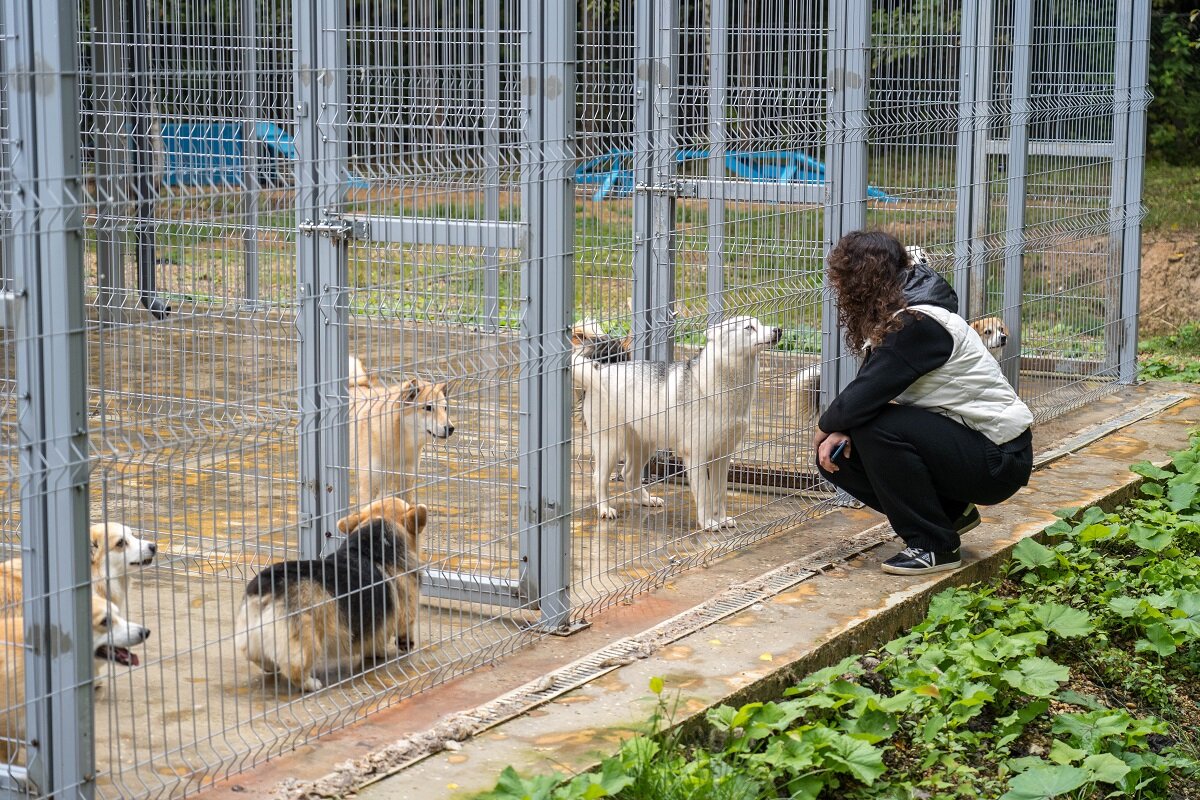    Фото: Александр Плонский / "ВиЖ"