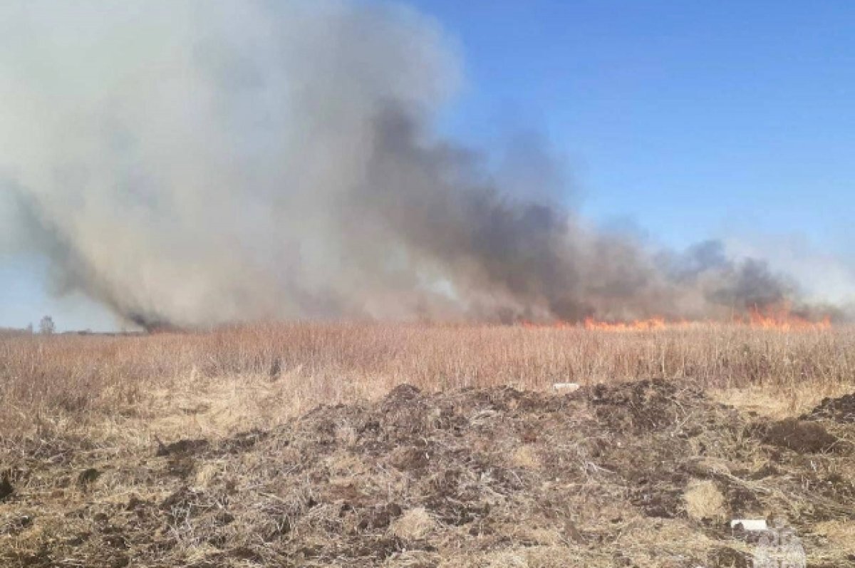    В Тюмени установили виновного в ландшафтном пожаре в районе СНТ «Салют»