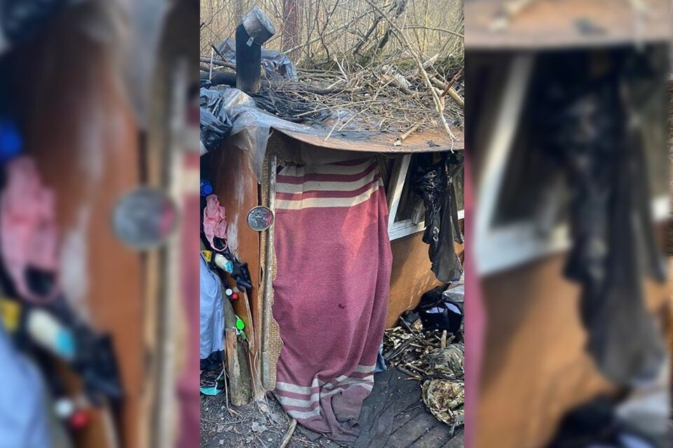 Фото: уполномоченный по правам ребенка в Ярославской области.