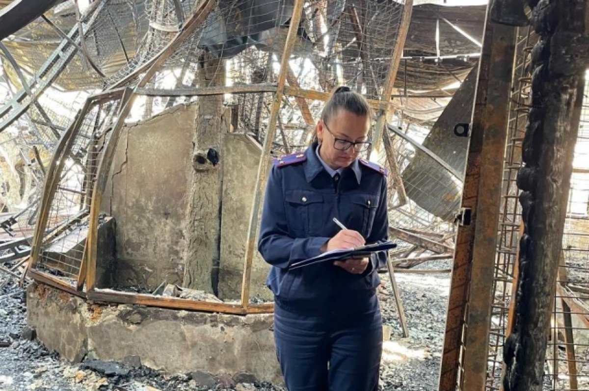    Следственный комитет установит причины пожара экзотариума в Евпатории