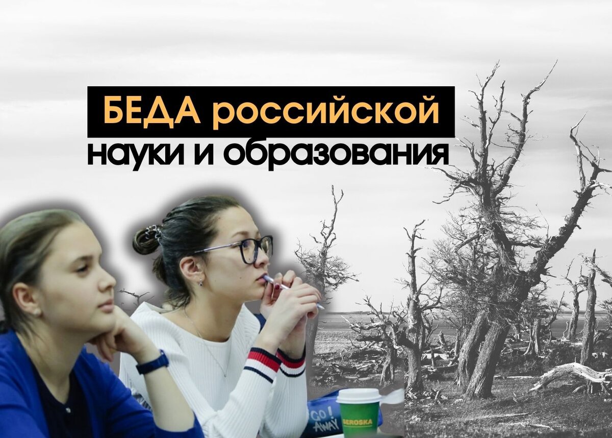 Беда российской науки и высшего образования в грандбюрократии | Московский  Экономический Форум | Дзен