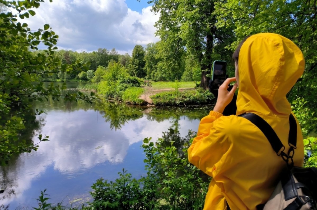    Уничтожает лес: о борьбе с шелкопрядом рассказали в минлесхозе РТ